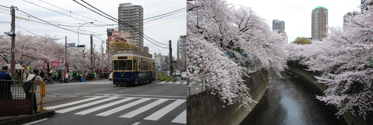 面影橋差し替え用.png