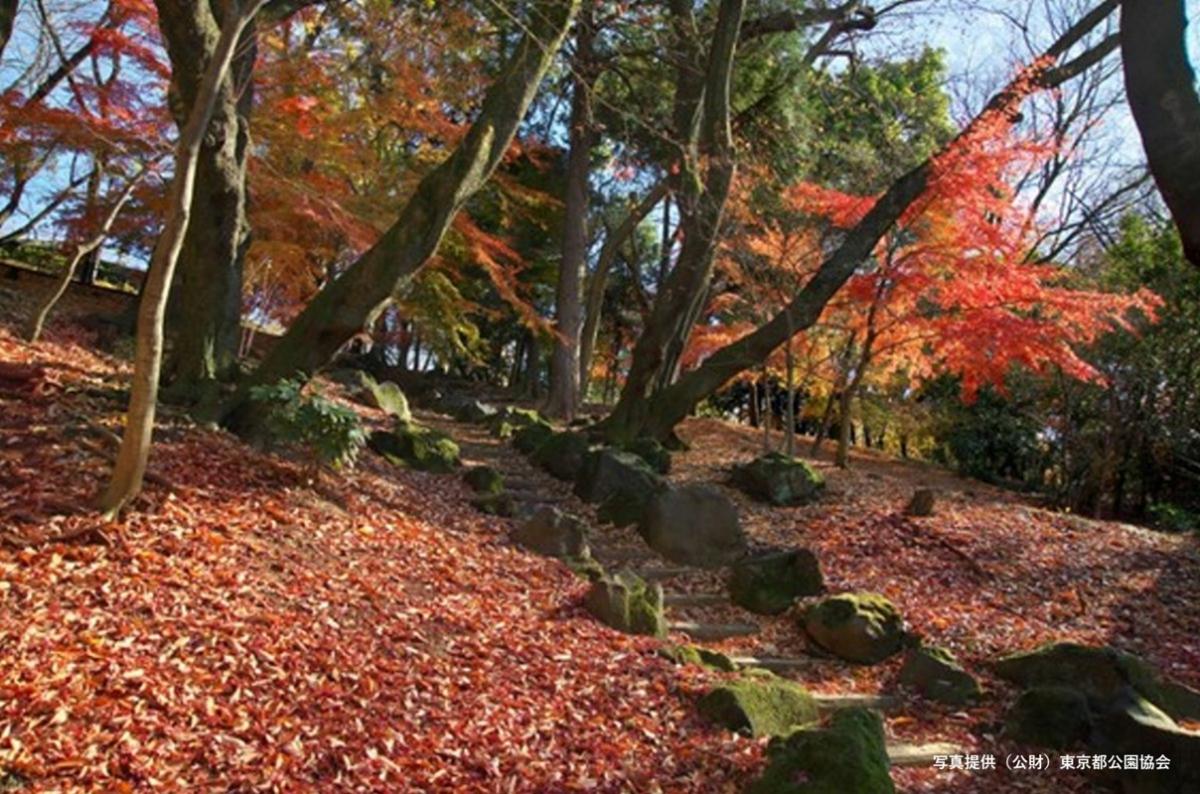 使用　戸山公園_クレジット.jpg