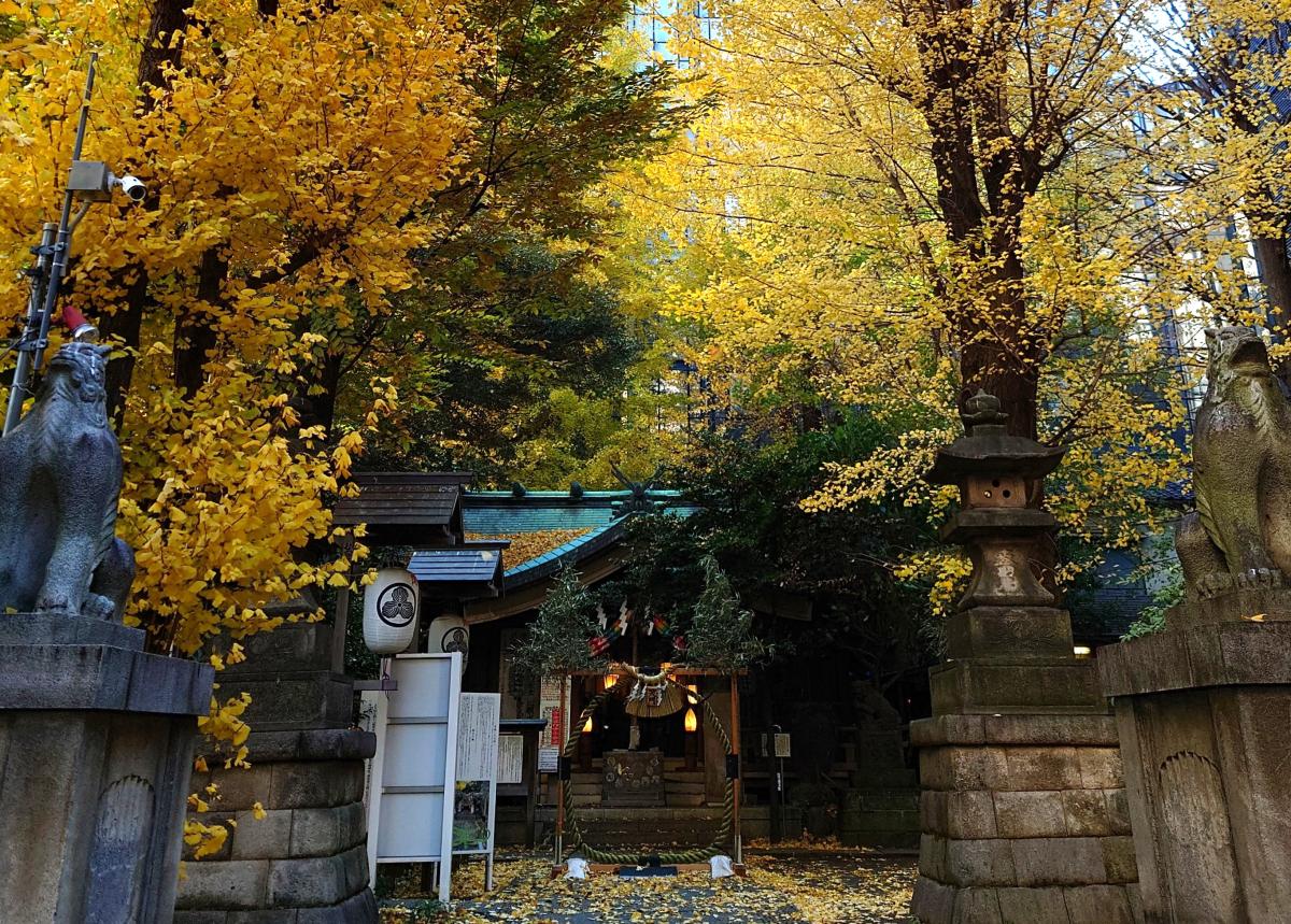 鬼王神社紅葉（イチョウ）.JPG