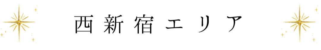 西新宿エリア（HP素材）.jpg