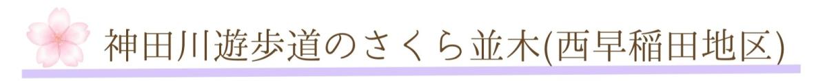 ③神田川(西早稲田地区).jpg