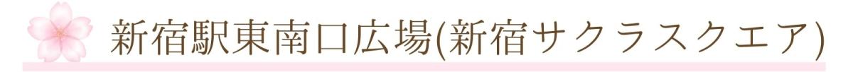 ②新宿東南口広場.jpg